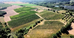 Podere Casa al Vento