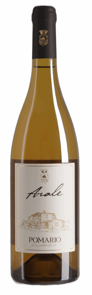 Umbria IGT Trebbiano “Arale” 2023
