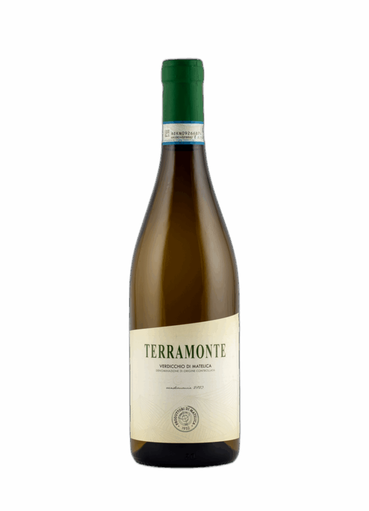 Verdicchio di Matelica DOC “Terramonte” 2023