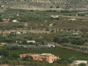 Riofavara