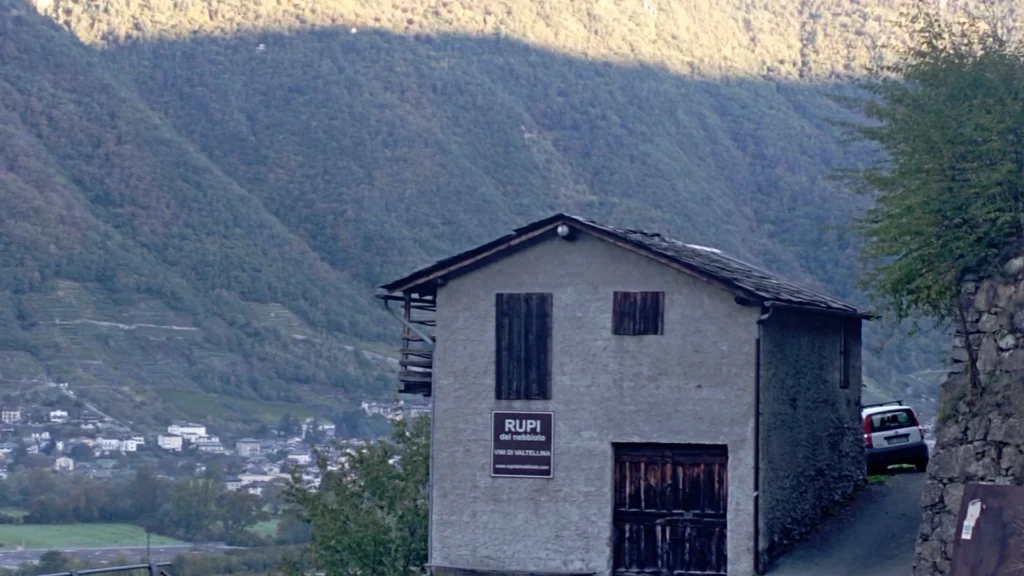 Rupi Del Nebbiolo