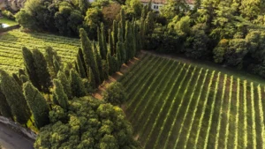 Sartori di Verona