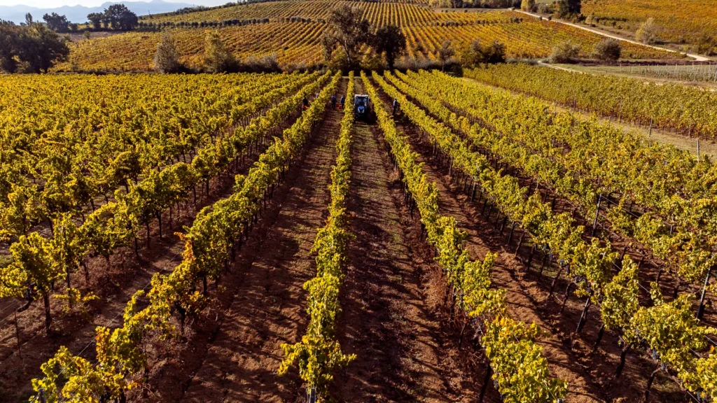 Tenuta Alzatura