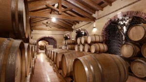 Tenuta Montemagno