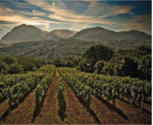 Tenuta Sarno 1860