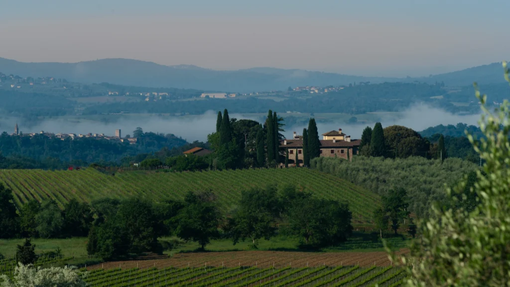 Tenuta Sette Ponti