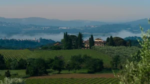 Tenuta Sette Ponti