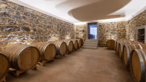 Tenuta Stella