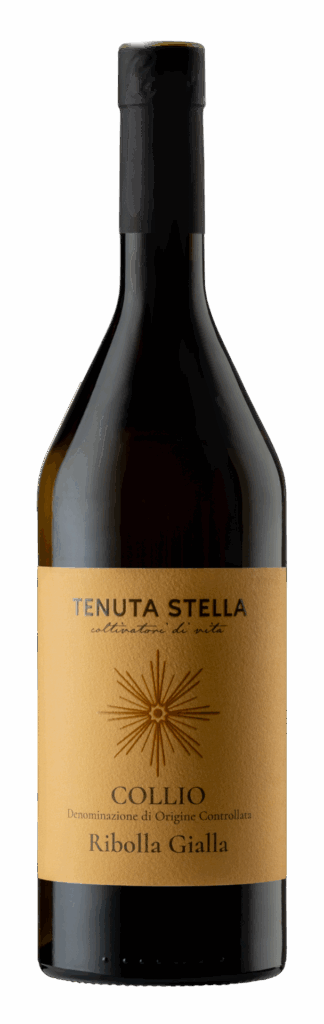 Collio DOC Ribolla Gialla 2022