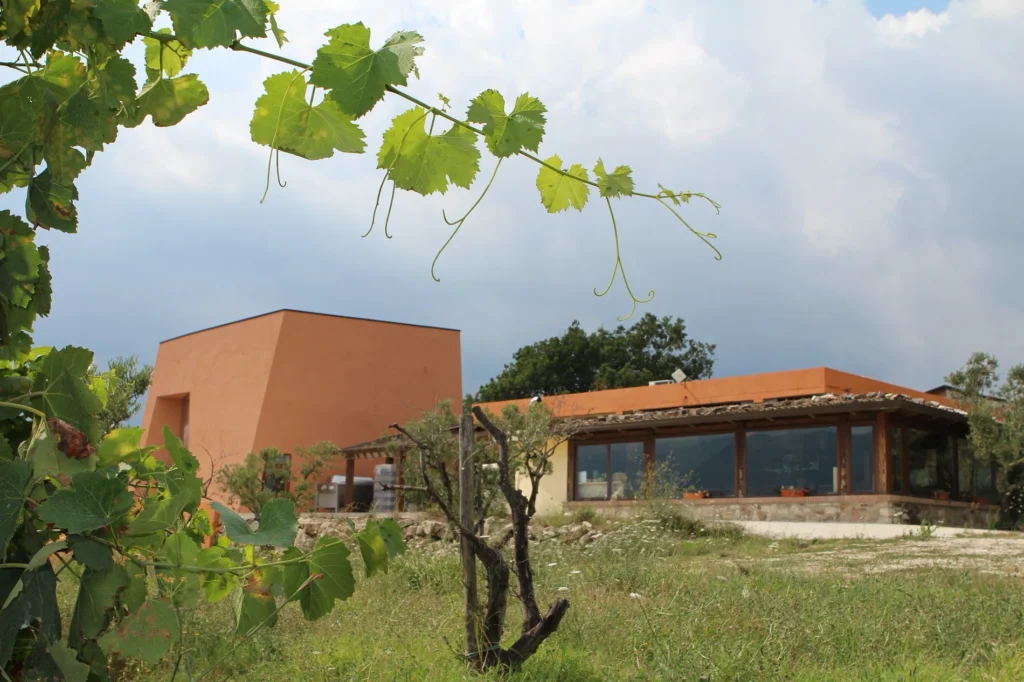Terra di Briganti