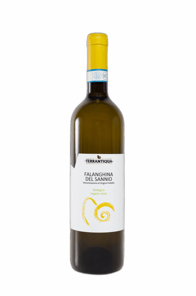 Terrantiqua – Falanghina del Sannio DOC 2023