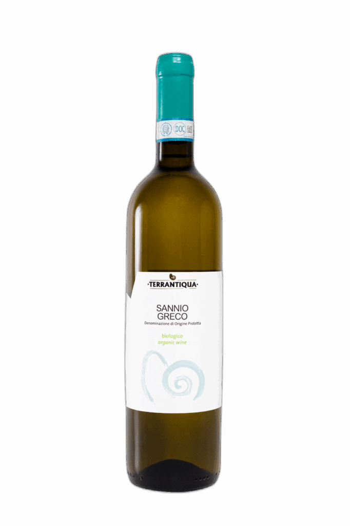Sannio DOC Greco 2023