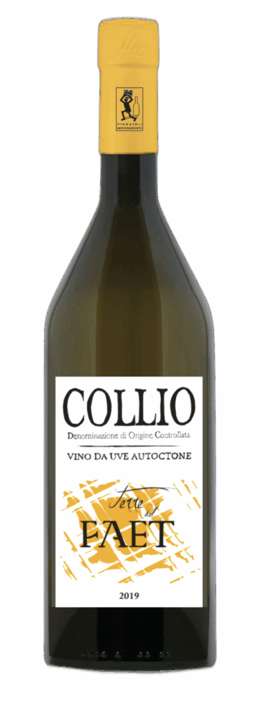 Collio DOC Bianco 2021