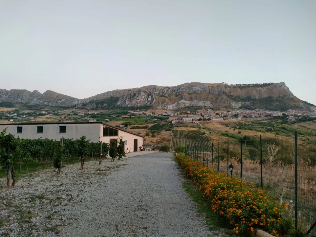 Todaro
