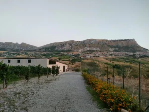 Todaro