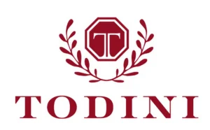 Todini