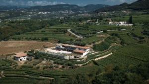 Tommaso Bussola