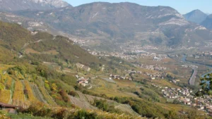 Tonini