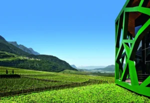 Tramin