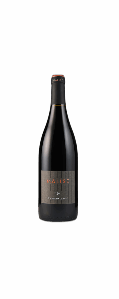 Rubicone IGT Sangiovese “Malise” 2021