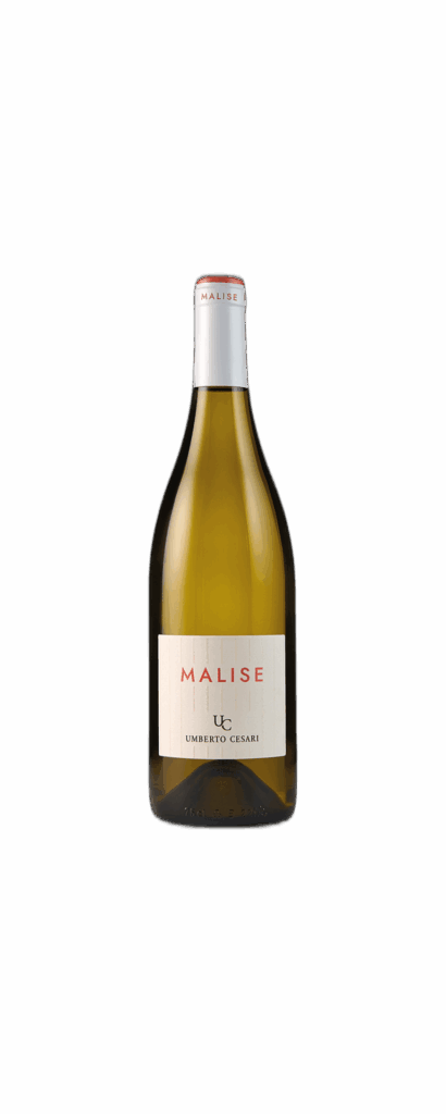 Rubicone IGT Trebbiano “Malise” 2023