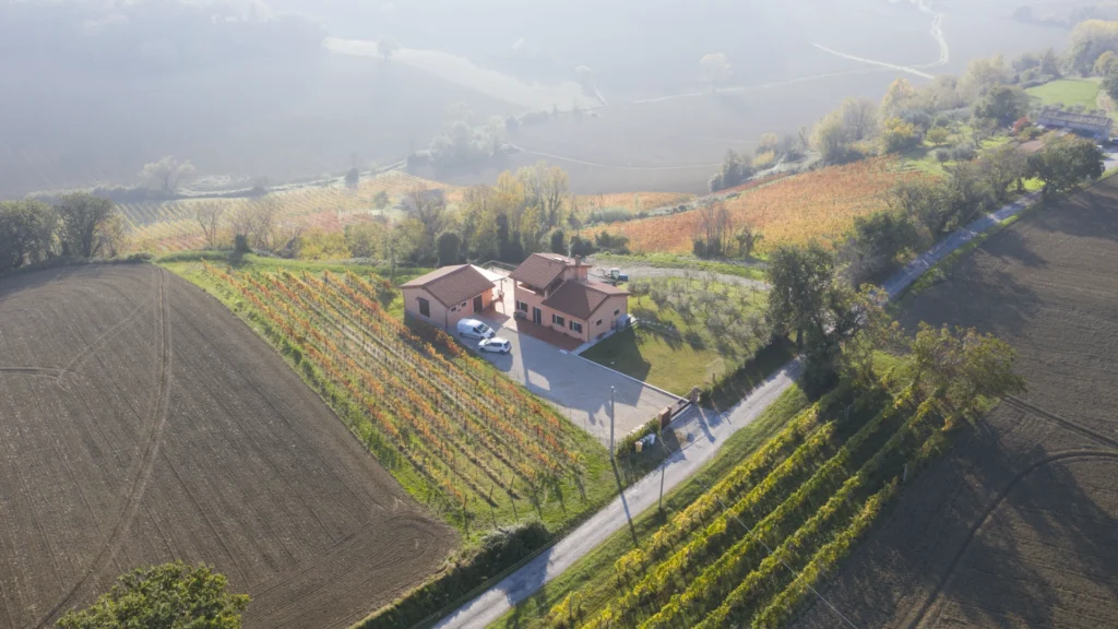 Vigna degli Estensi