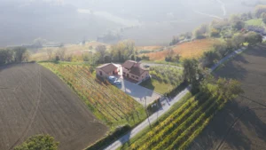 Vigna degli Estensi