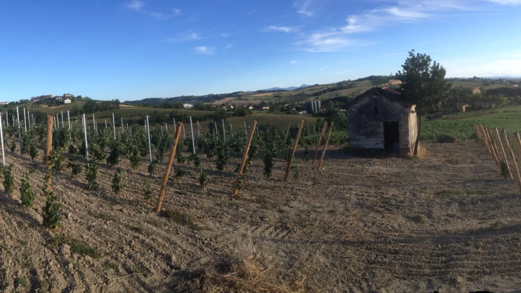 Vignaioli Battegazzore