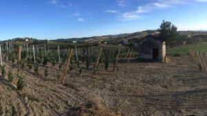 Vignaioli Battegazzore