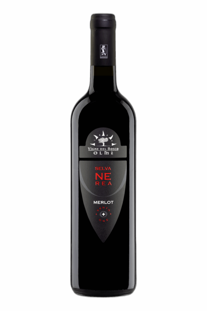 Veneto IGT Merlot “Selva Nerea” 2021