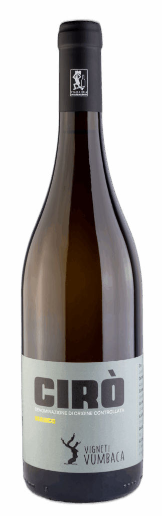 Cirò DOC Bianco 2024