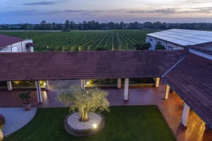 Villa Matilde