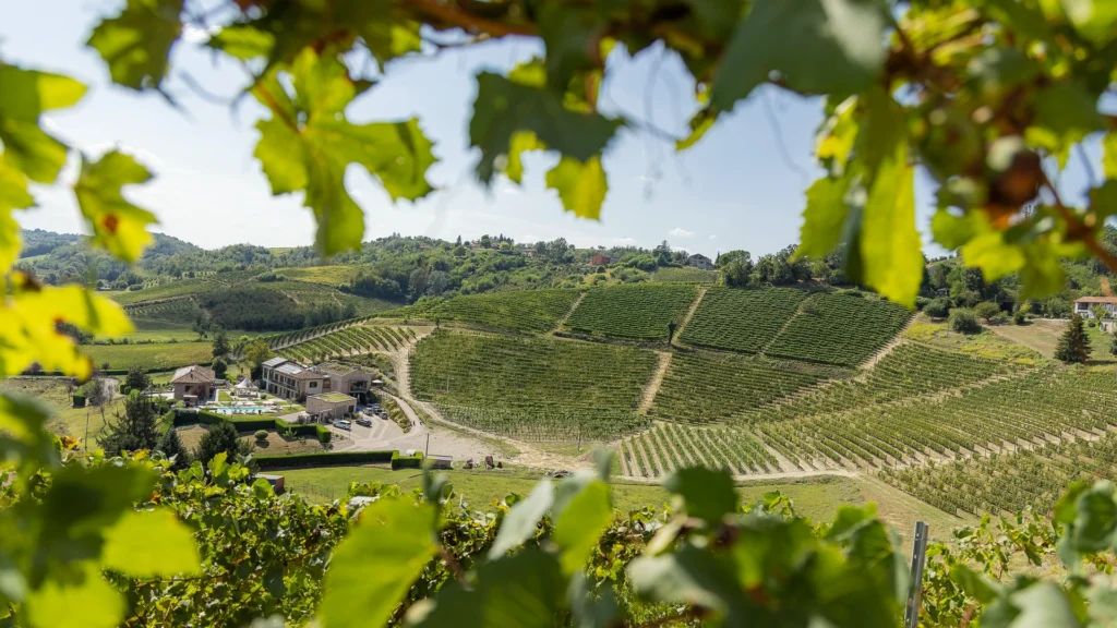 Vinicola Arno
