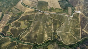 Azienda del Grillo