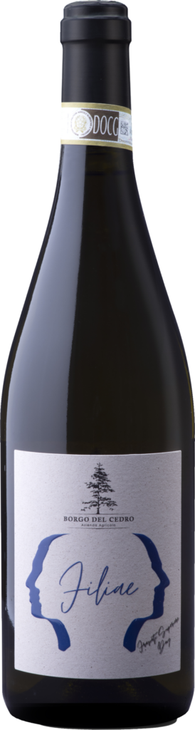 Frascati Superiore DOCG "Filiae" 2022