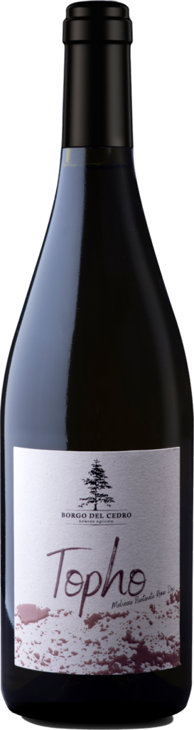 Roma DOC Malvasia Puntinata "Topho" 2022