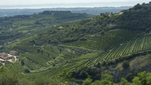 Boscaini Carlo