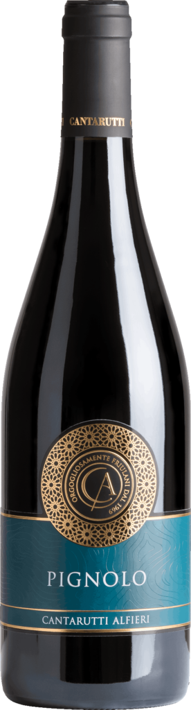 Friuli Colli Orientali DOC Pignolo 2008