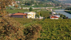 Cantina d’Isera