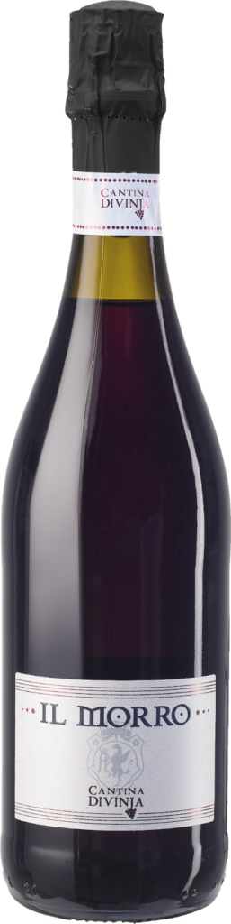 Lambrusco di Modena DOP Extra Dry "Il Morro" 2023