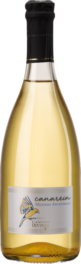 Pignoletto DOC Frizzante “Canarein” 2024