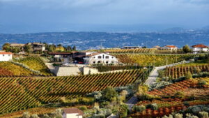 Cantine Iannella