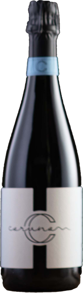 Franciacorta DOCG Brut