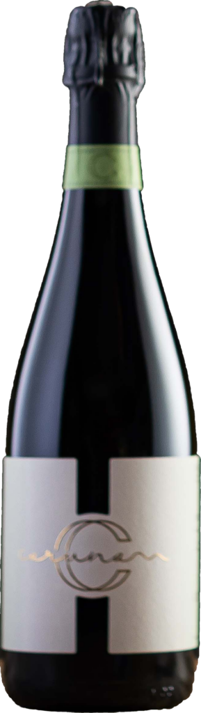 Franciacorta DOCG Brut Satèn Millesimato 2017