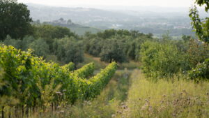 Casa Lucii