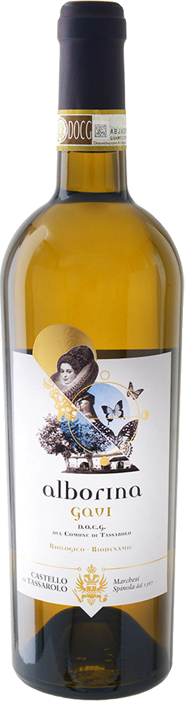 Castello di Tassarolo – Gavi DOCG “Alborina” 2021