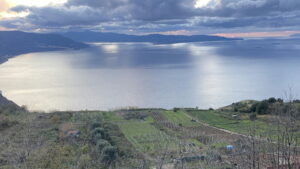 Ceramida