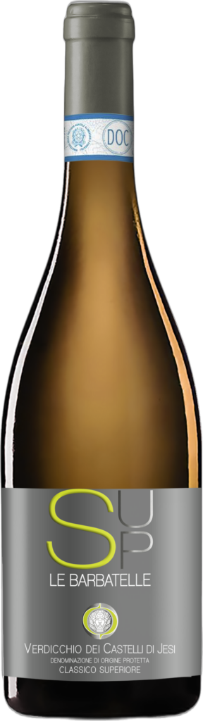 Verdicchio dei Castelli di Jesi DOC Classico Superiore “Le Barbatelle SUP” 2024