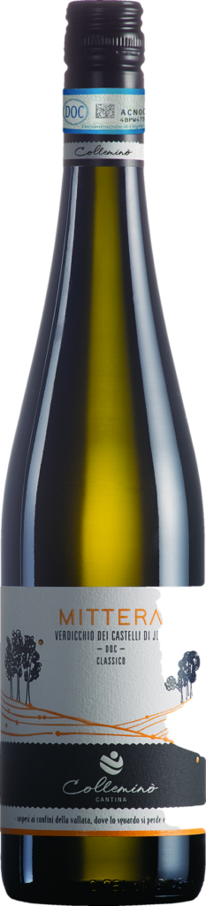 Verdicchio dei Castelli di Jesi DOC Classico "Mittera" 2022