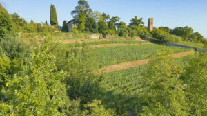 Cooperativa Cellatica Gussago